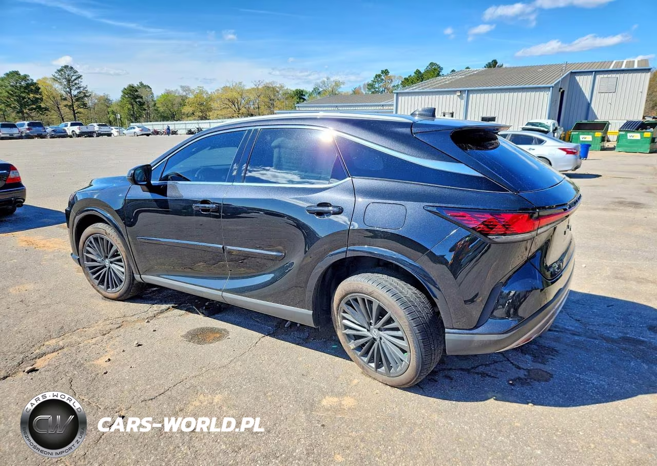 2025 Lexus Rx 350 Premium VIN:2T2BAMCA3SC115603 - 2