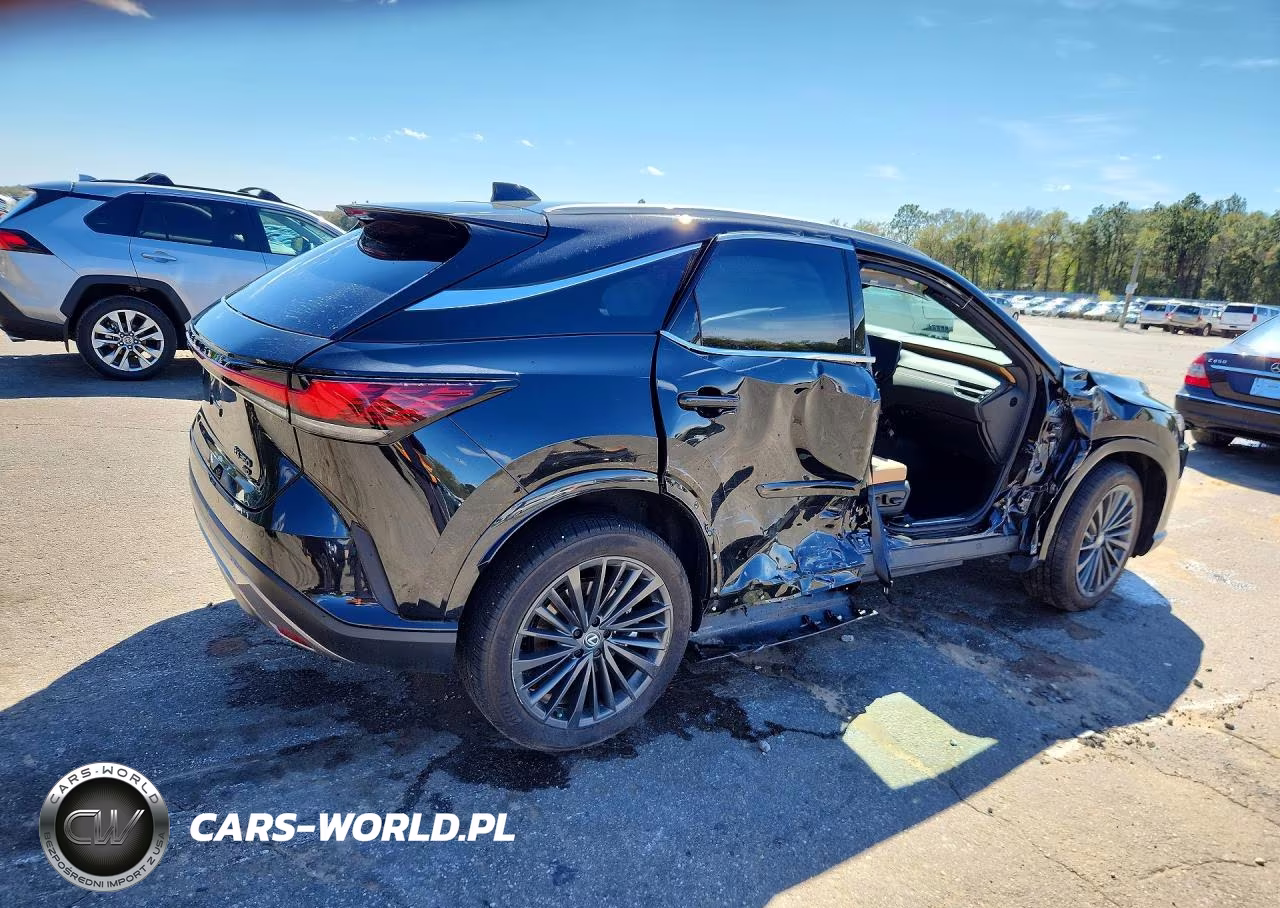 2025 Lexus Rx 350 Premium VIN:2T2BAMCA3SC115603 - 3