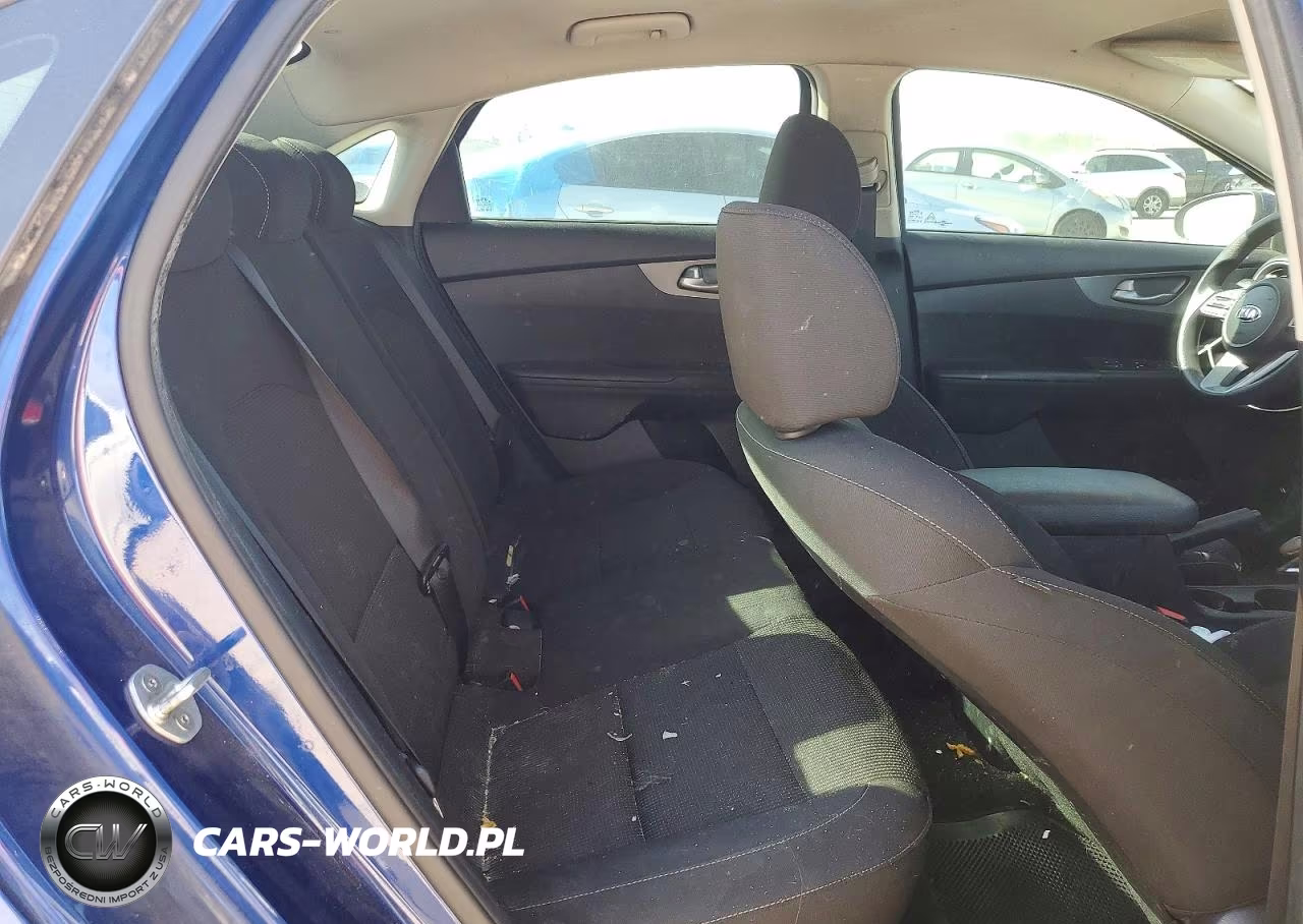 2019 Kia Forte Lxs VIN:3KPF24AD4KE072391 - 10