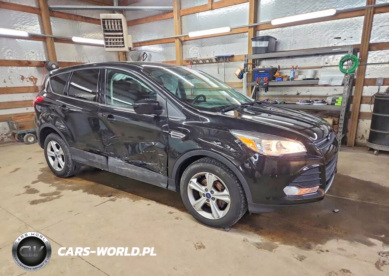 2014 Ford Escape Se VIN:1FMCU0GX7EUD99893 - 4