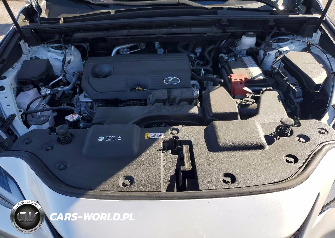 2025 Lexus Nx 250 Base VIN:JTJADCAZ4S5024313 - 12