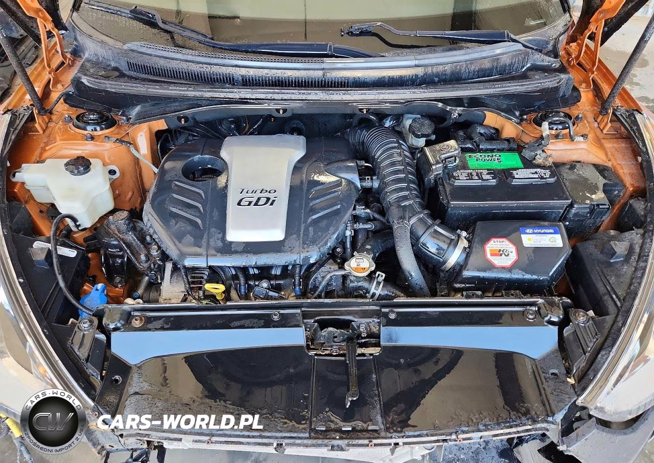 2016 Hyundai Veloster Turbo VIN:KMHTC6AEXGU287251 - 11