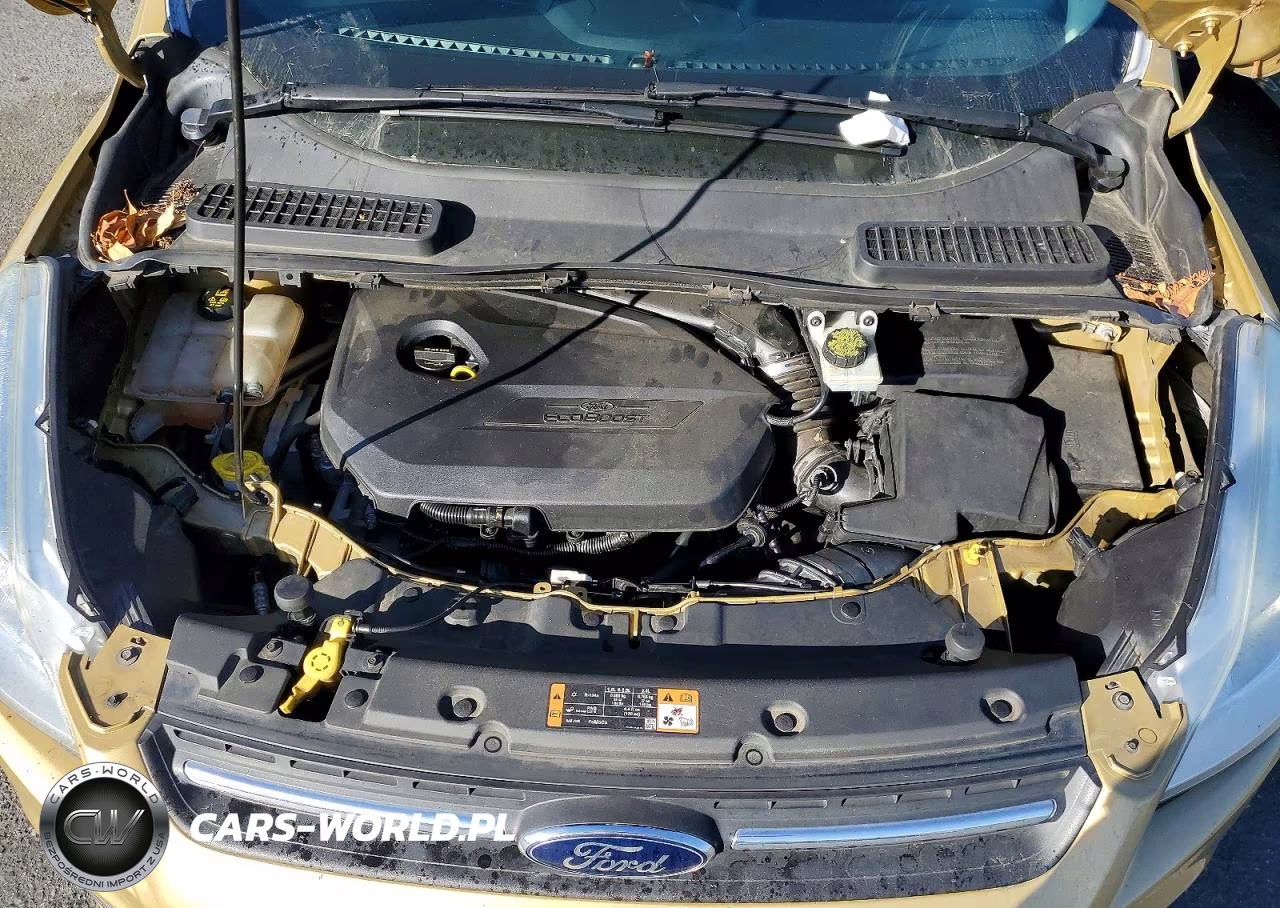 2015 Ford Escape Se VIN:1FMCU0GX5FUA82096 - 12