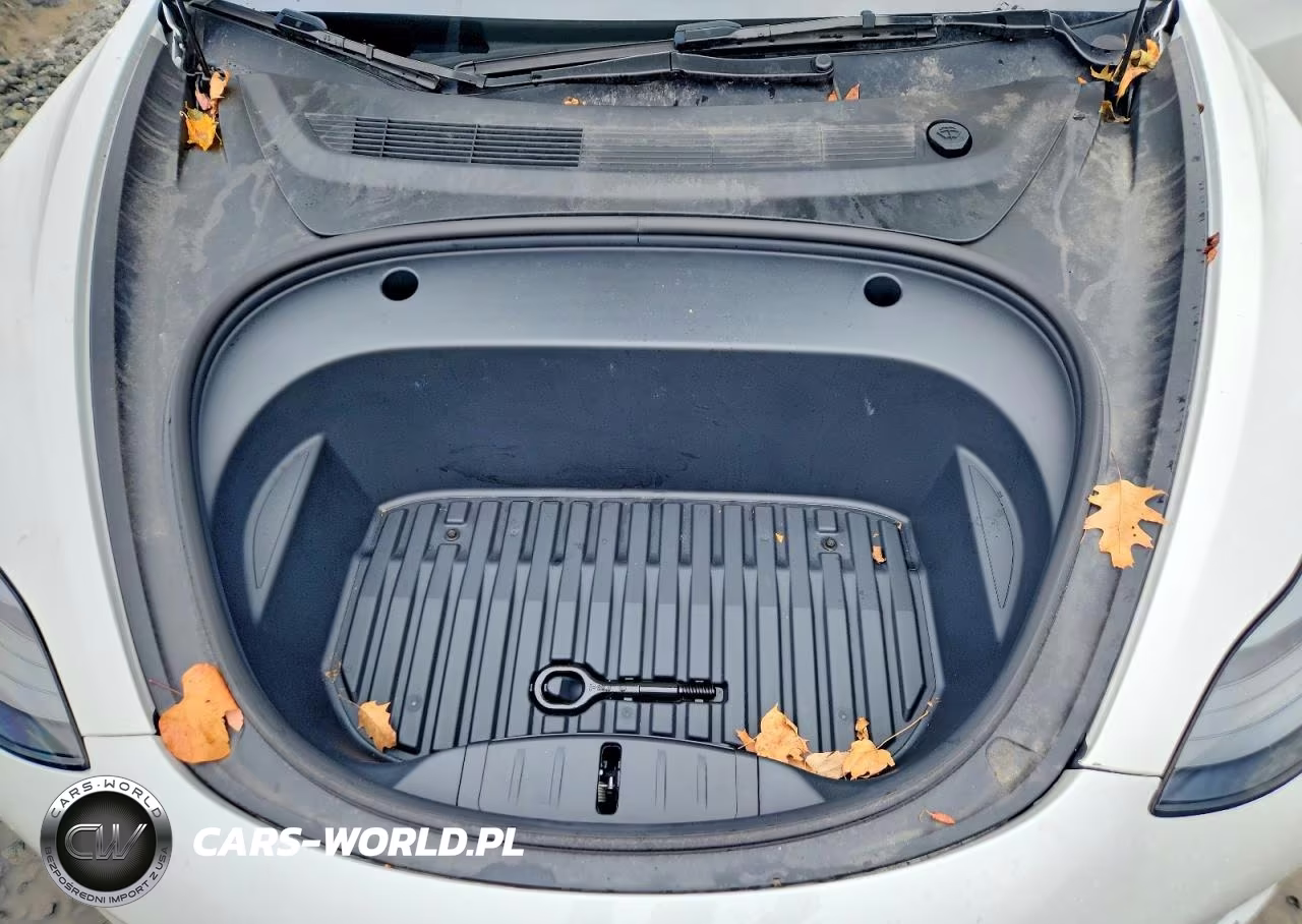 2023 Tesla Model 3 VIN:5YJ3E1EA2PF561558 - 11