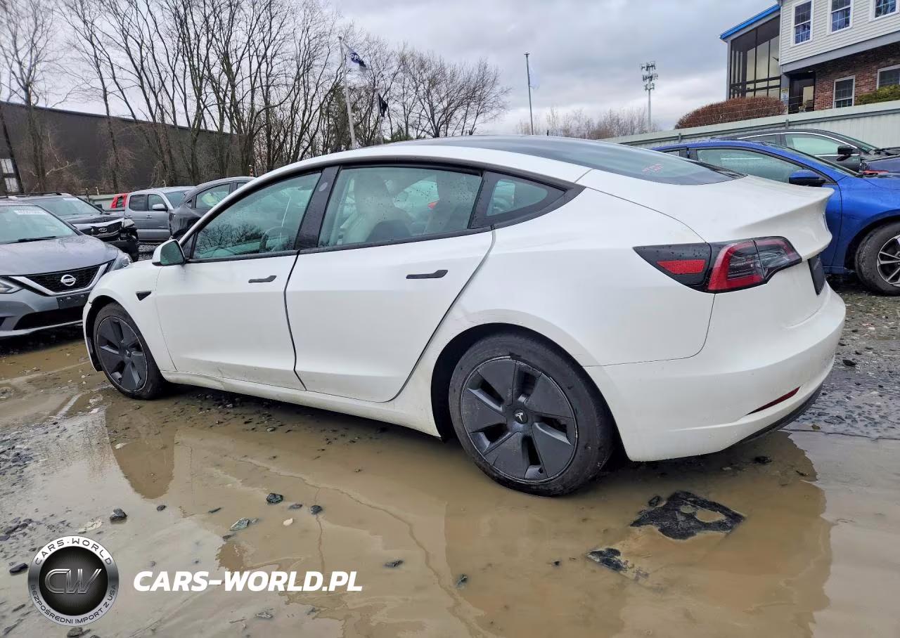 2023 Tesla Model 3 VIN:5YJ3E1EA2PF561558 - 2