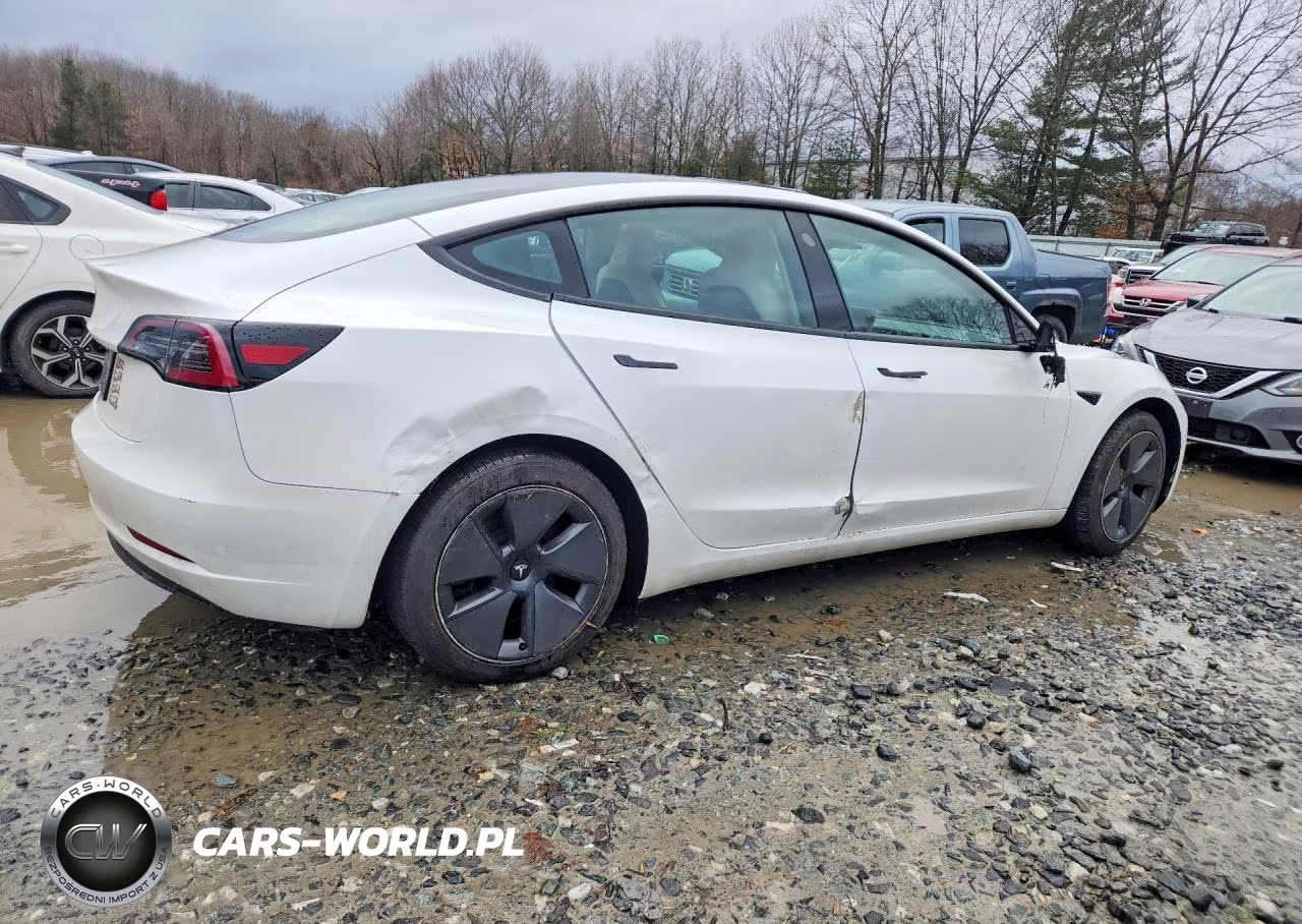 2023 Tesla Model 3 VIN:5YJ3E1EA2PF561558 - 3
