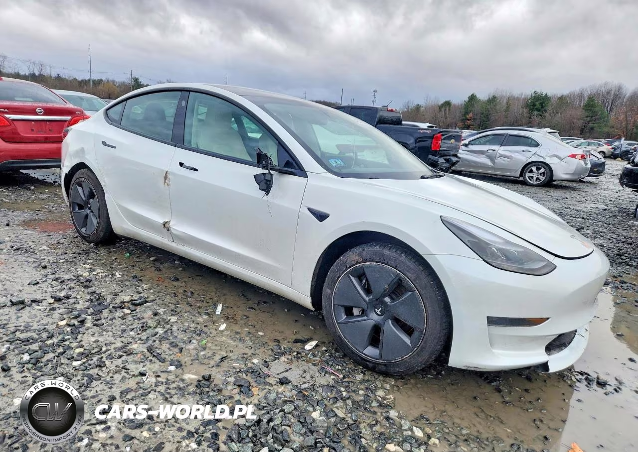 2023 Tesla Model 3 VIN:5YJ3E1EA2PF561558 - 4
