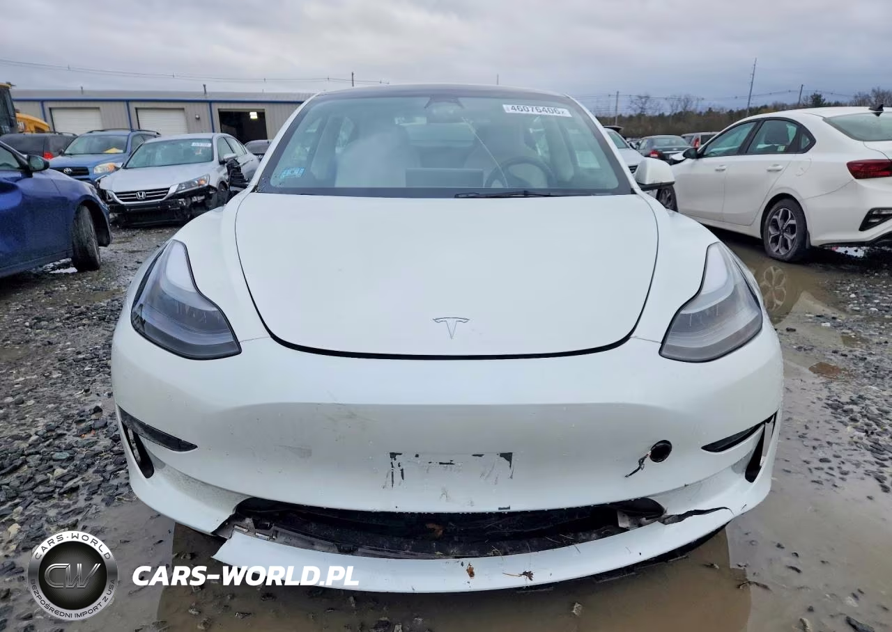 2023 Tesla Model 3 VIN:5YJ3E1EA2PF561558 - 5