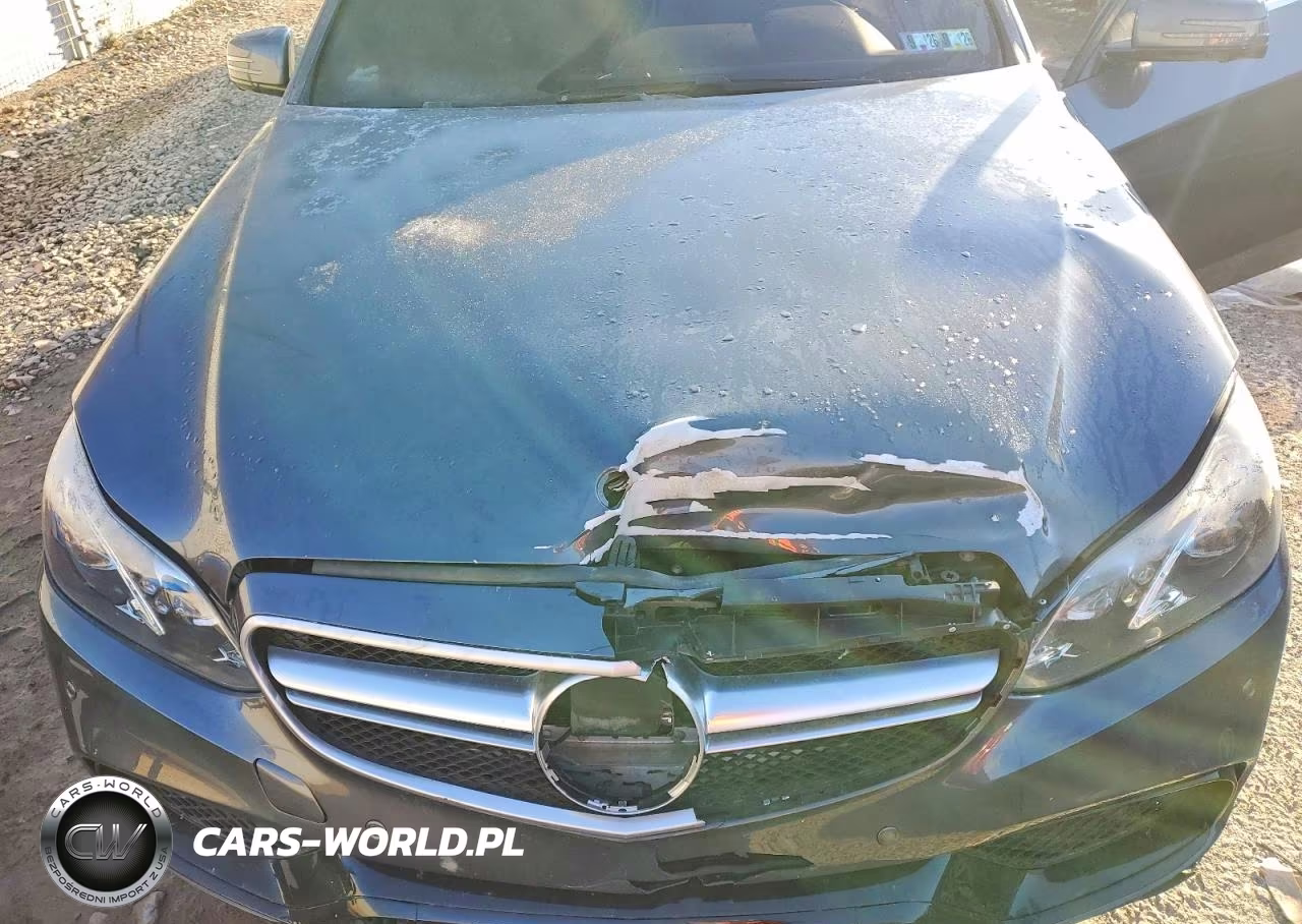MERCEDES-BENZ E 350 VIN:WDDHF8JB0GB284170 - 11