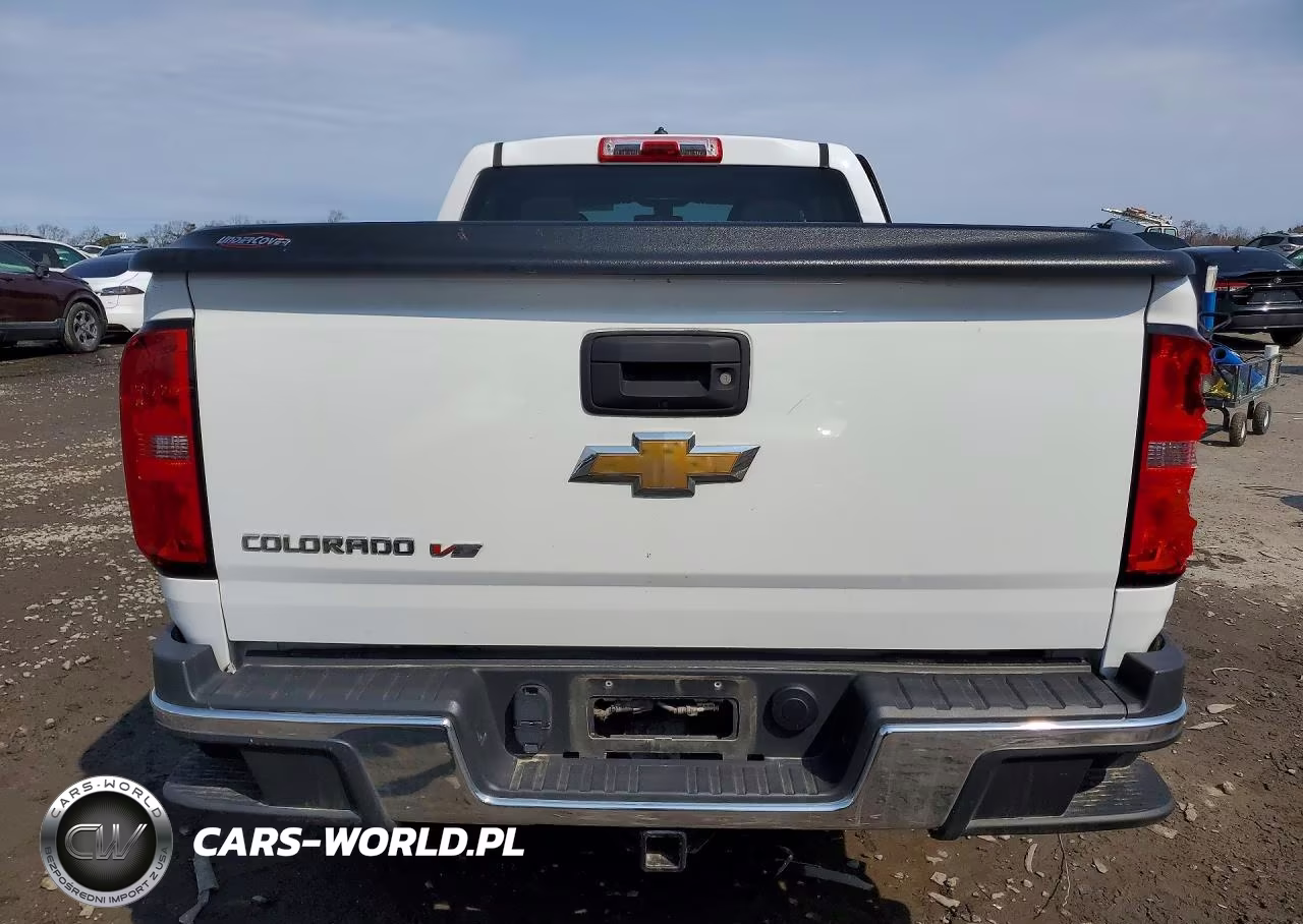 2020 Chevrolet Colorado VIN:1GCGTBEN6L1193856 - 6