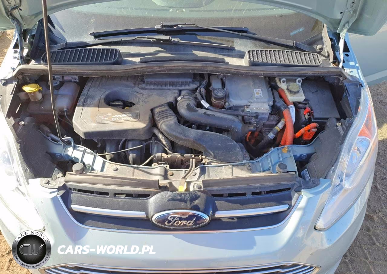 2013 Ford C-Max Premium VIN:1FADP5CU5DL521119 - 11