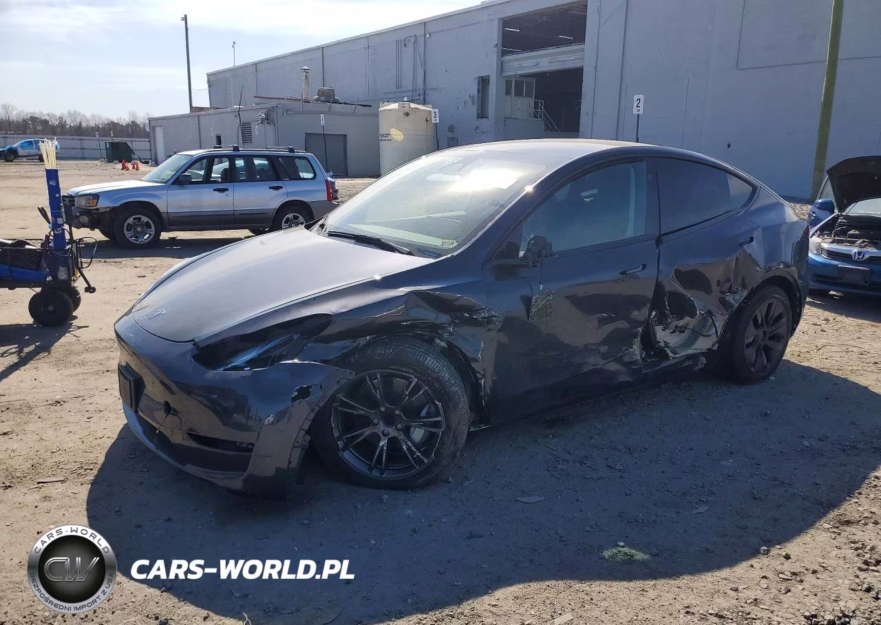 2025 Tesla Model Y