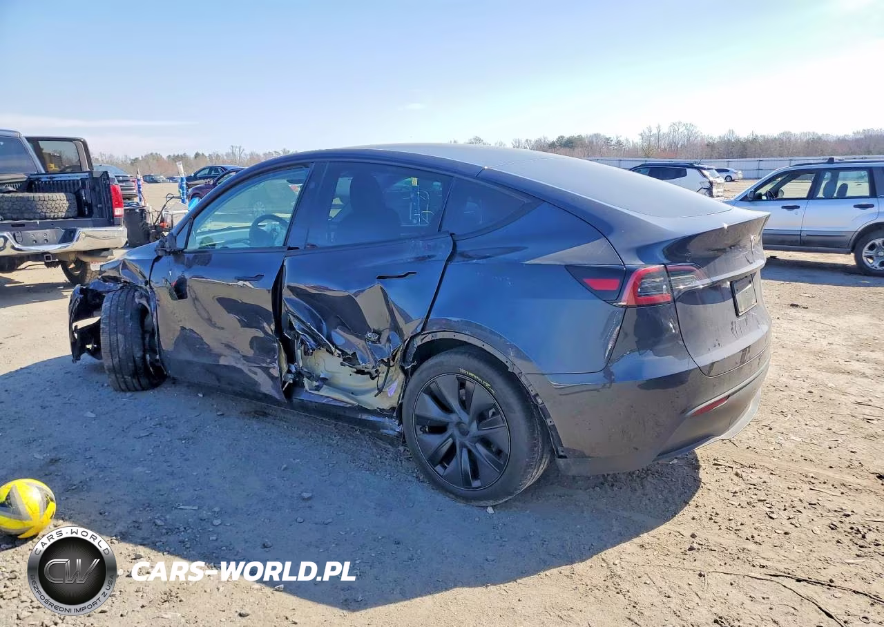 2025 Tesla Model Y VIN:7SAYGDED4SF255503 - 2