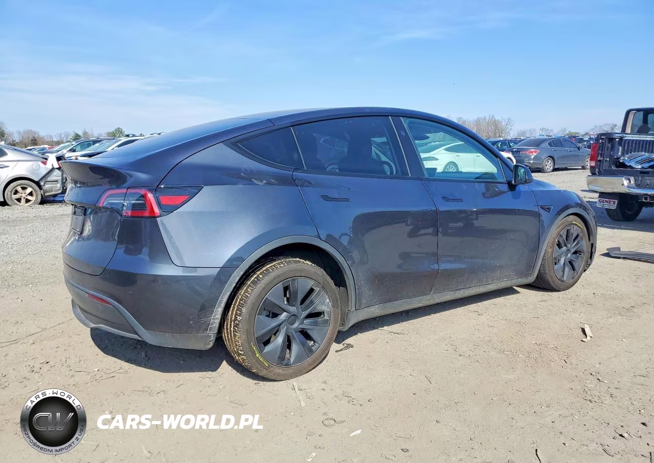 2025 Tesla Model Y VIN:7SAYGDED4SF255503 - 3