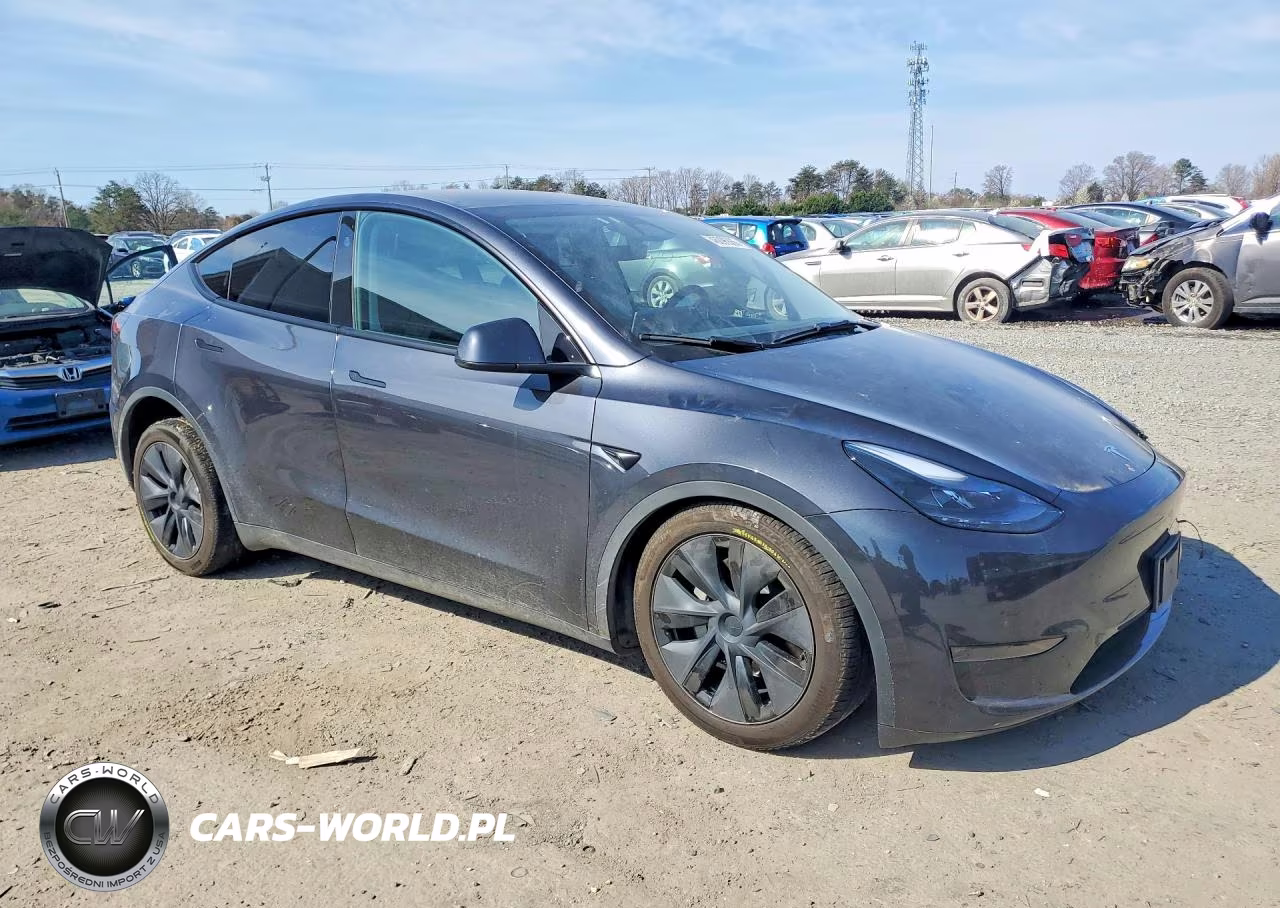 2025 Tesla Model Y VIN:7SAYGDED4SF255503 - 4