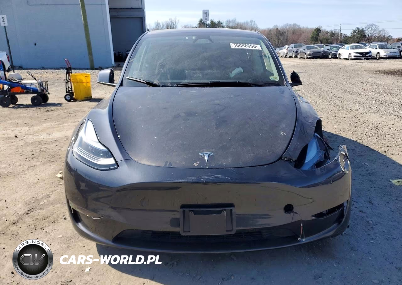 2025 Tesla Model Y VIN:7SAYGDED4SF255503 - 5
