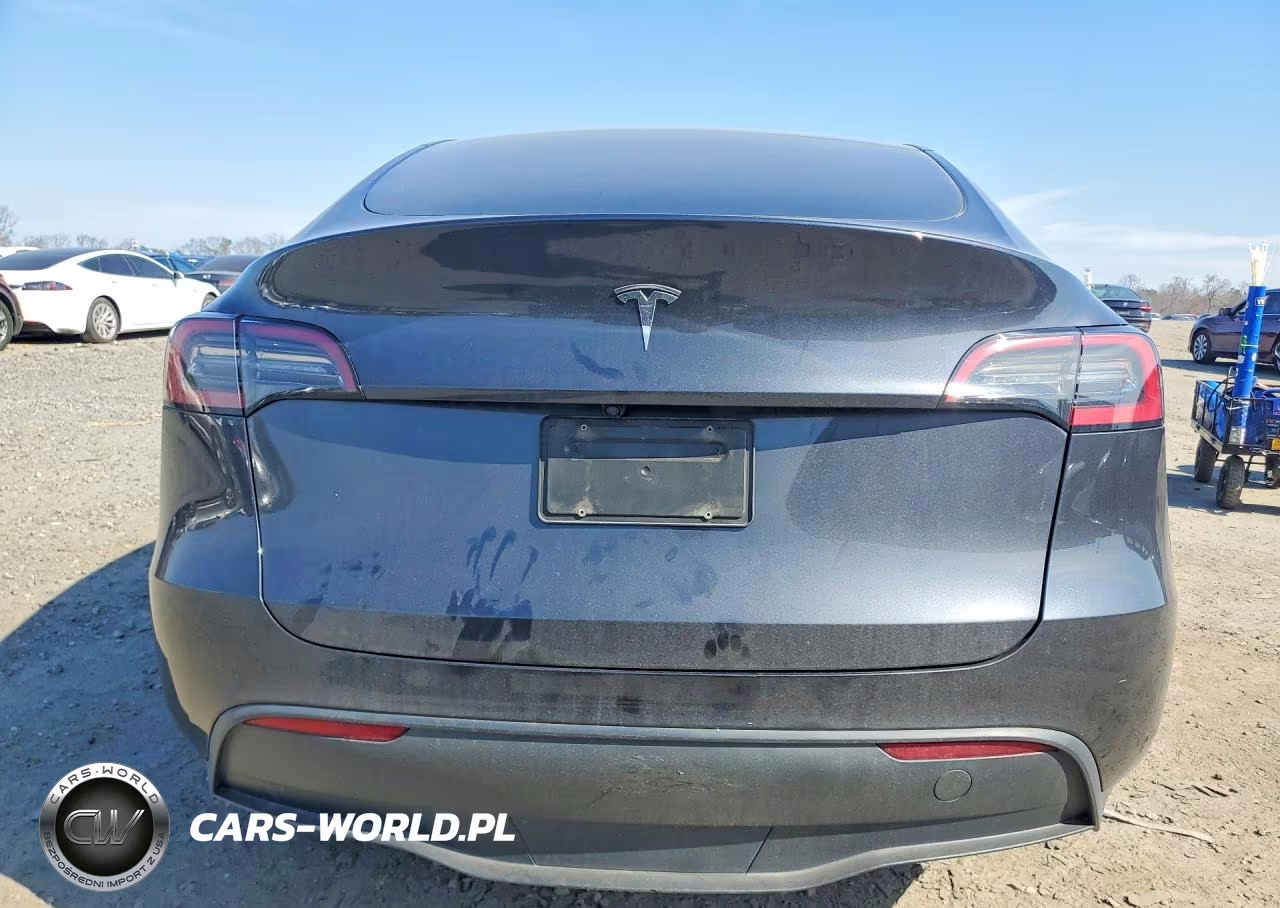 2025 Tesla Model Y VIN:7SAYGDED4SF255503 - 6