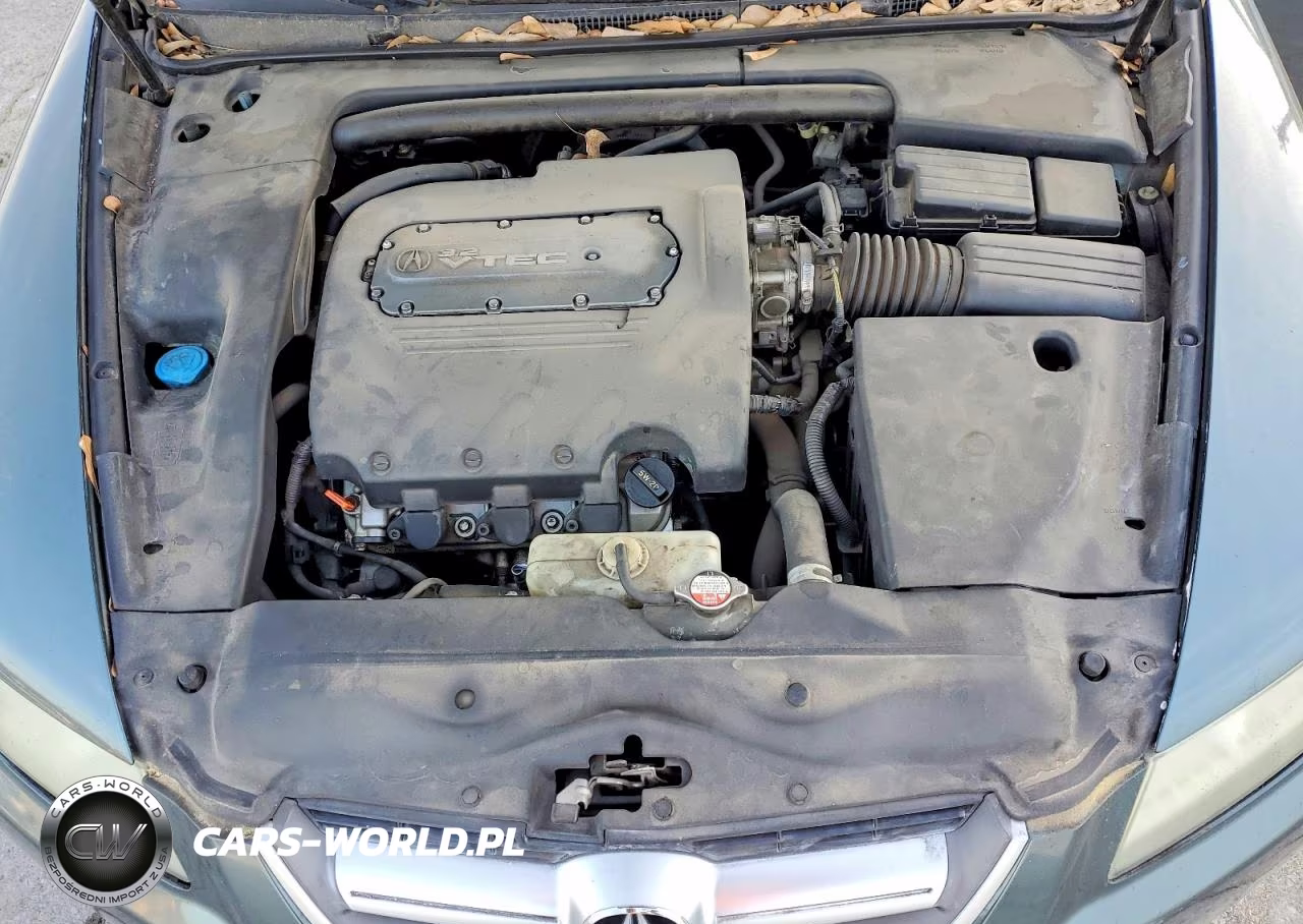 2004 Acura Tl VIN:19UUA66264A046962 - 11