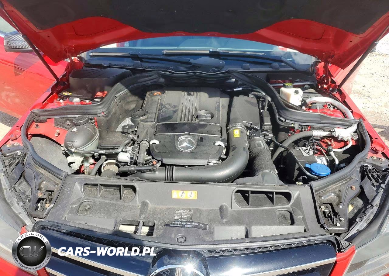 2014 Mercedes-Benz C 250 VIN:WDDGJ4HB9EG265805 - 11