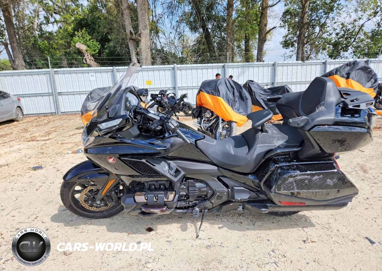 2023 Honda Gl1800 D VIN:JH2SC7957PK502078 - 3
