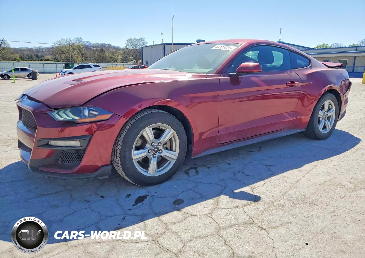 2019 Ford Mustang