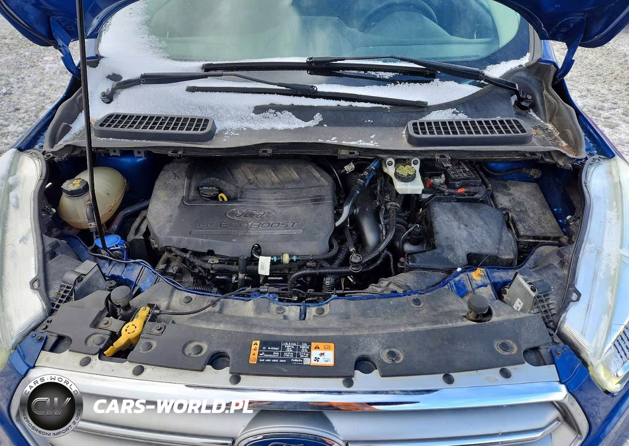 2017 Ford Escape Se VIN:1FMCU0GDXHUB41054 - 12