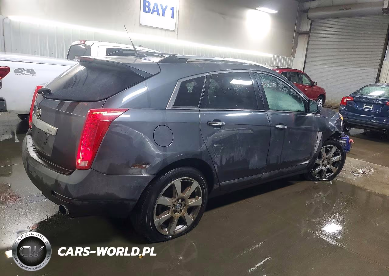 2010 Cadillac Srx Performance Collection VIN:3GYFNEEY4AS558946 - 3