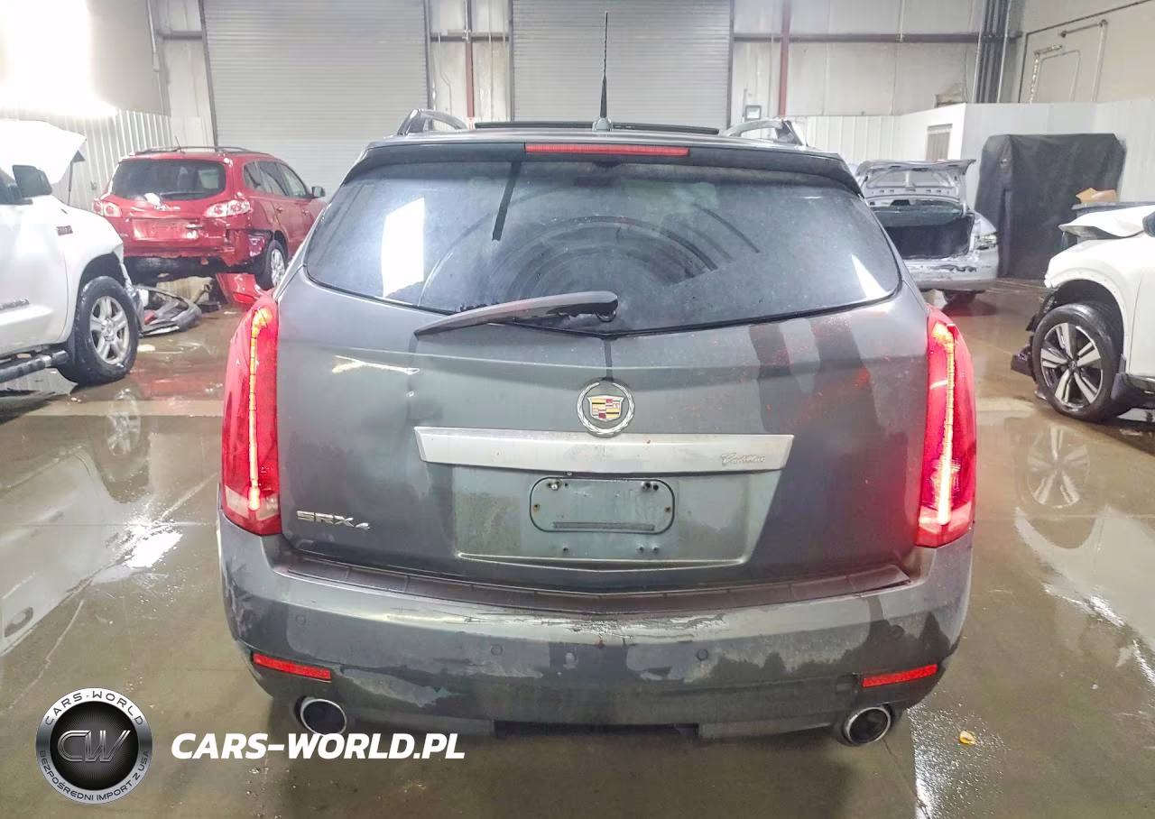 2010 Cadillac Srx Performance Collection VIN:3GYFNEEY4AS558946 - 6