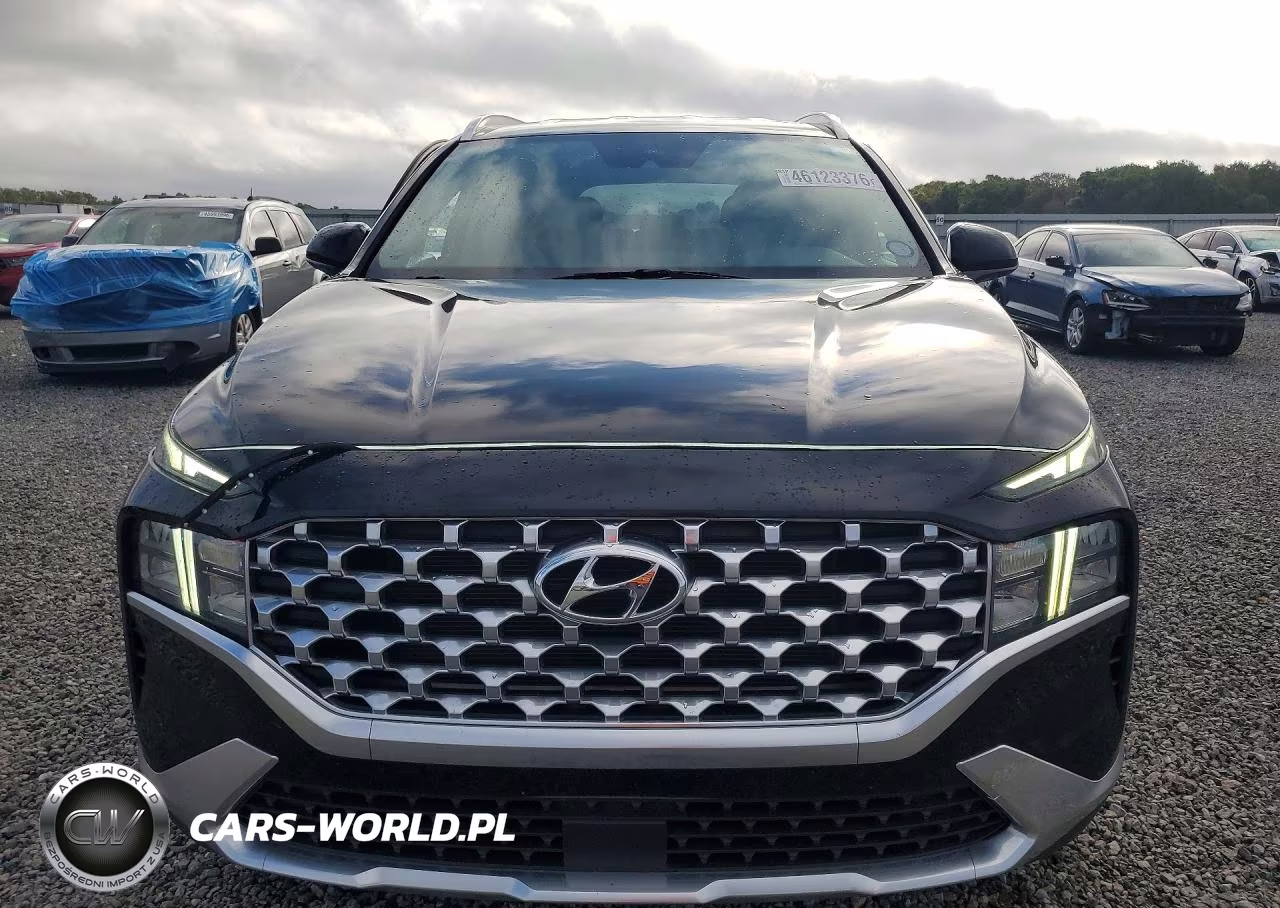 2021 Hyundai Santa Fe Sel VIN:5NMS24AJ8MH330945 - 5