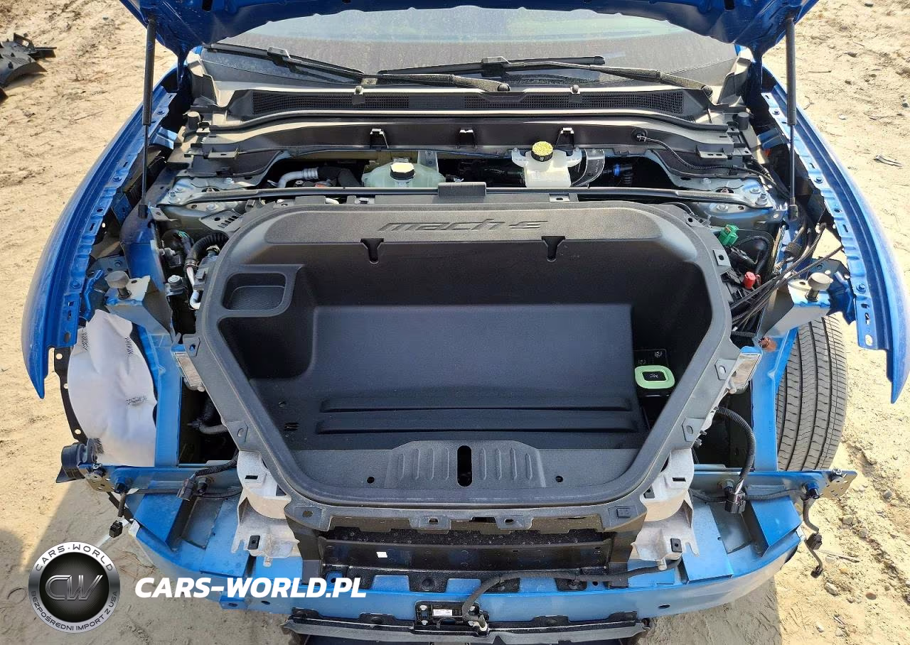 2025 Ford Mustang Mach-E Premium VIN:3FMTK3R43SMA23413 - 12