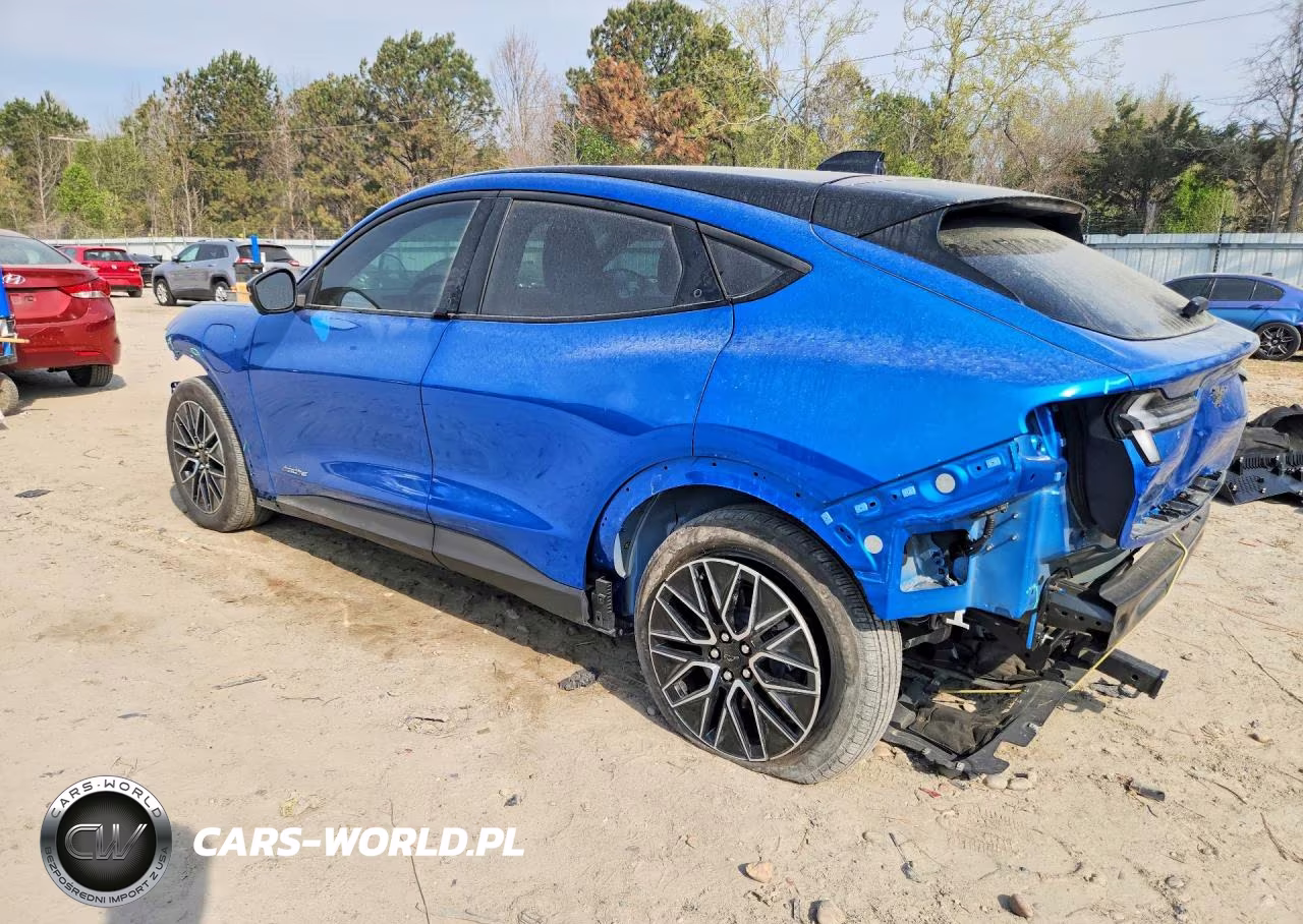 2025 Ford Mustang Mach-E Premium VIN:3FMTK3R43SMA23413 - 2