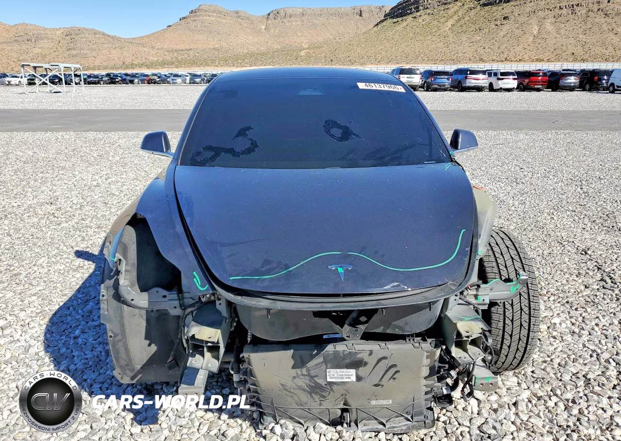 2020 Tesla Model 3 VIN:5YJ3E1EA0LF806156 - 5