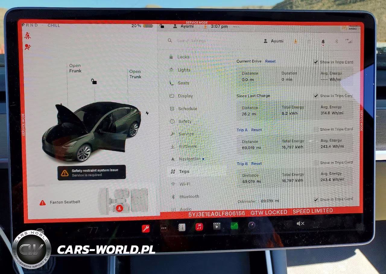 2020 Tesla Model 3 VIN:5YJ3E1EA0LF806156 - 9