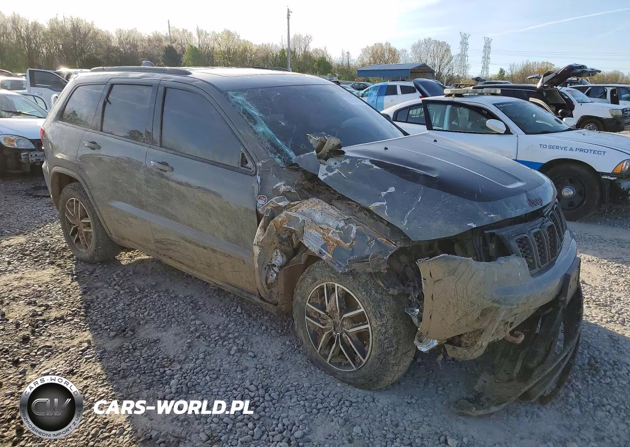 2020 Jeep Grand Cherokee Trailhawk VIN:1C4RJFLGXLC173303 - 4