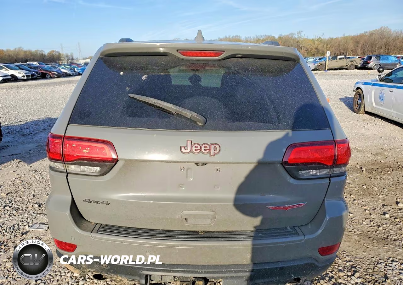 2020 Jeep Grand Cherokee Trailhawk VIN:1C4RJFLGXLC173303 - 6