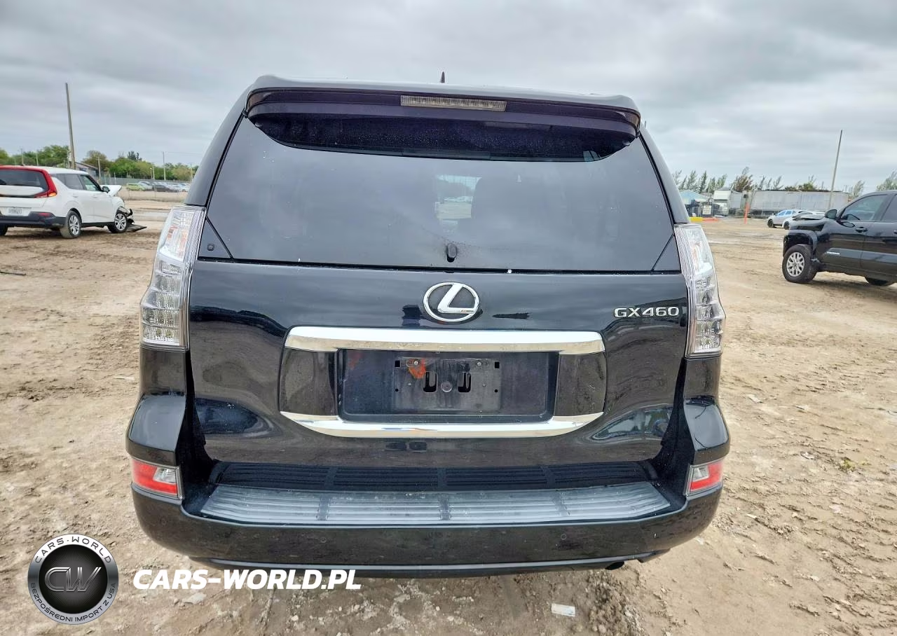 2019 Lexus Gx 460 Base VIN:JTJBM7FX4K5223302 - 6