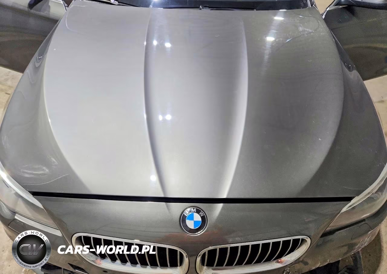 2014 BMW 528 Xi VIN:WBA5A7C5XED618555 - 11
