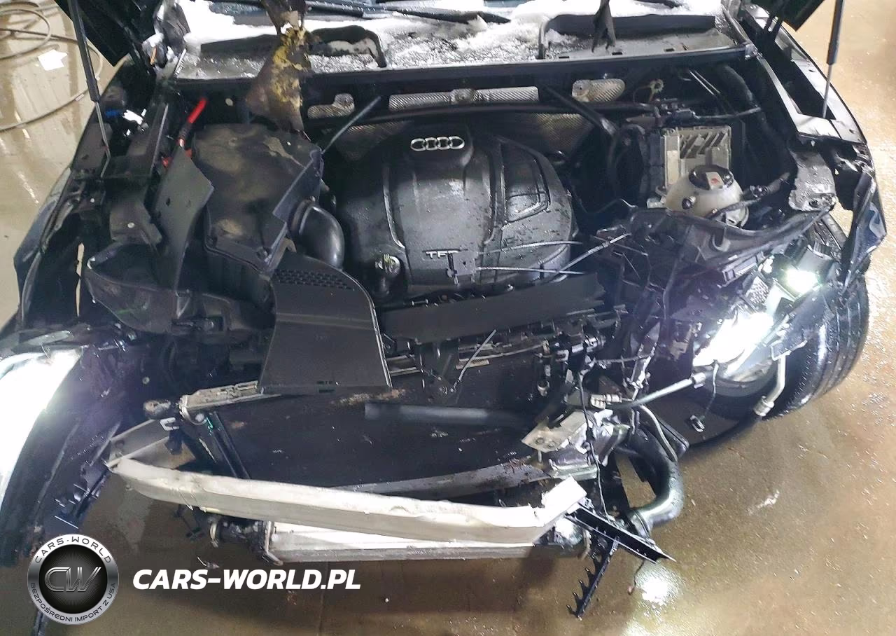2019 Audi Q5 Premium Plus VIN:WA1BNAFY1K2106018 - 11