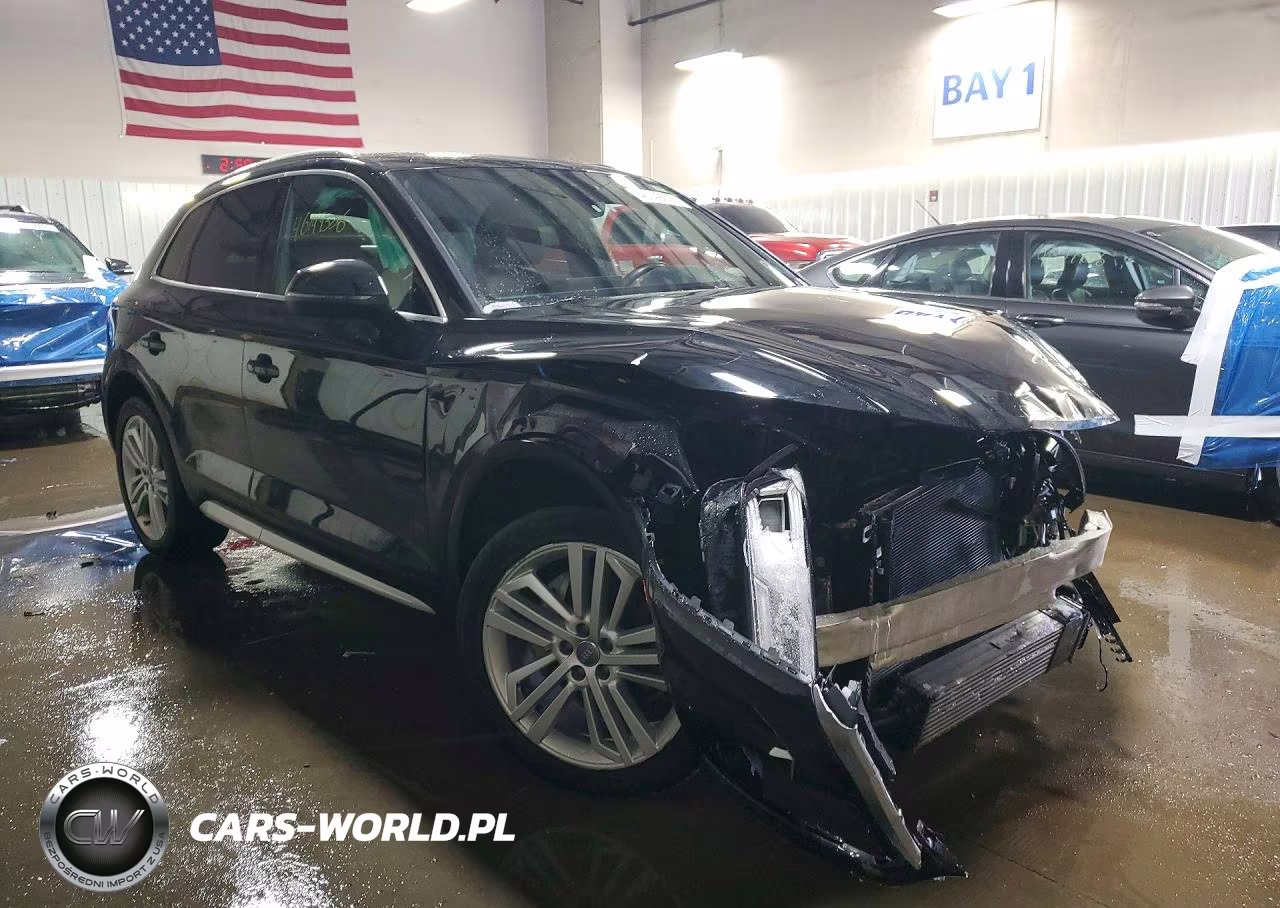 2019 Audi Q5 Premium Plus VIN:WA1BNAFY1K2106018 - 4