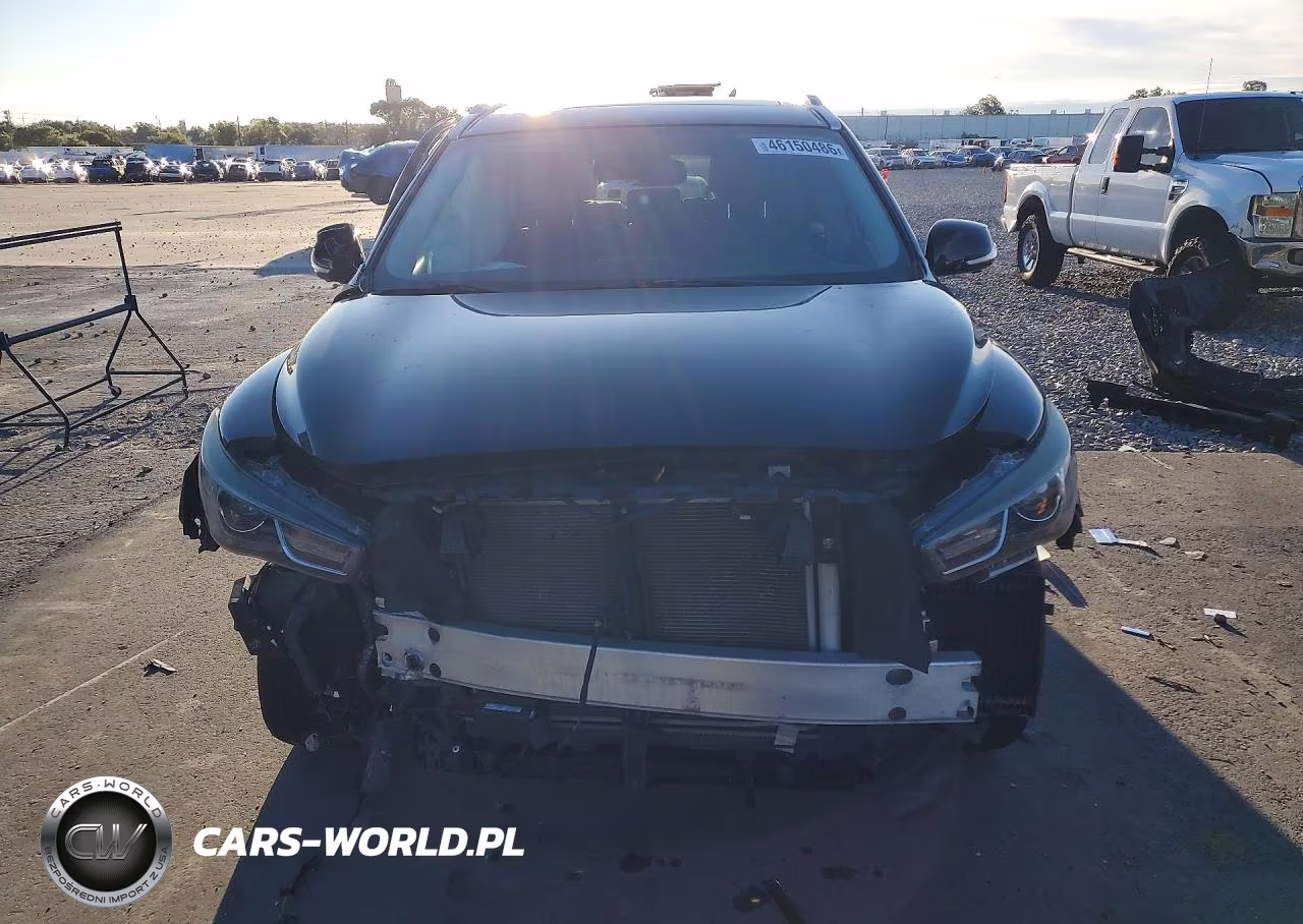 2019 Infiniti Qx60 Luxe VIN:5N1DL0MM1KC519027 - 5