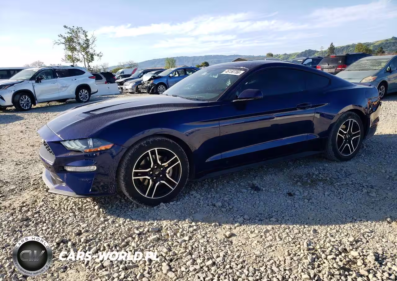 2019 Ford Mustang
