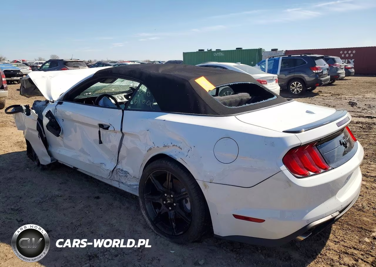 2019 Ford Mustang VIN:1FATP8UH9K5201169 - 2