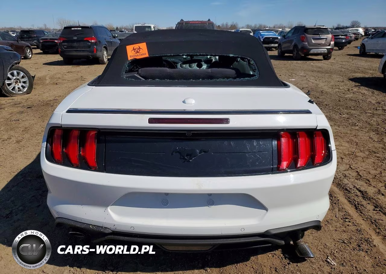 2019 Ford Mustang VIN:1FATP8UH9K5201169 - 6