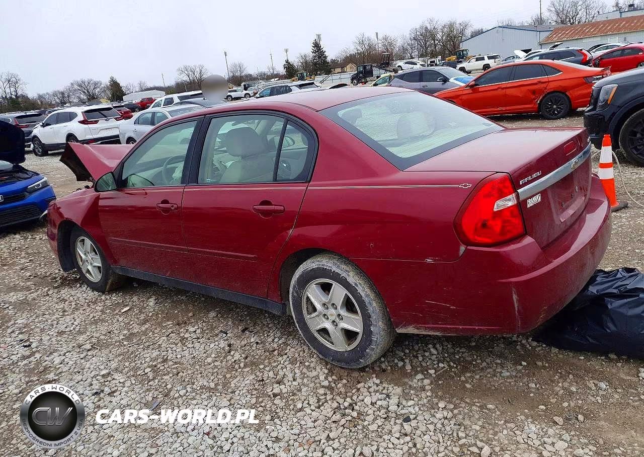 2005 Chevrolet Malibu Ls VIN:1G1ZT528X5F244749 - 2