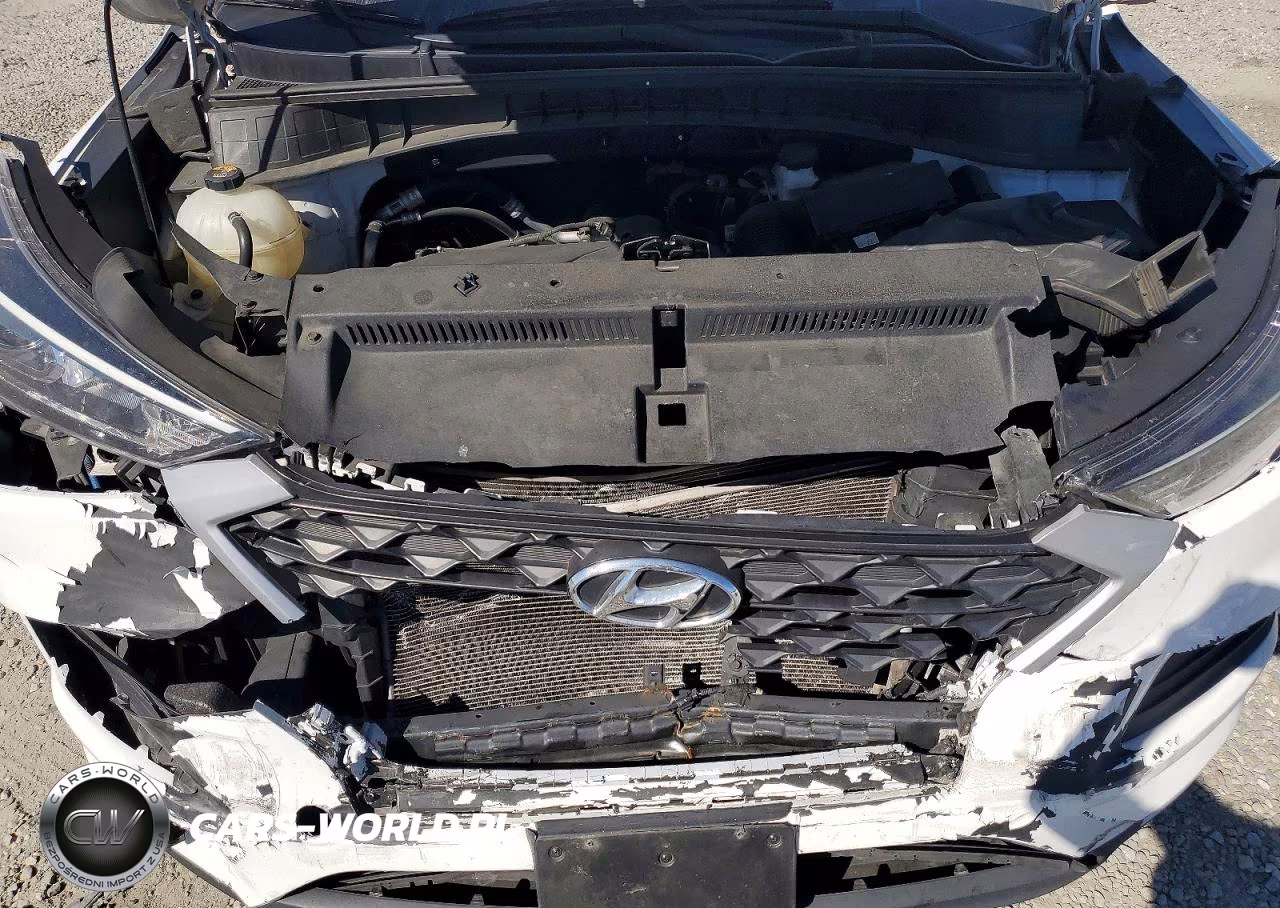 2019 Hyundai Tucson Se VIN:KM8J23A43KU953293 - 12