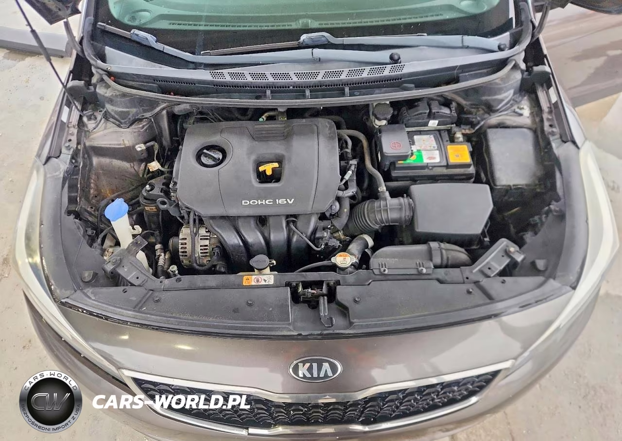 2017 Kia Forte Lx VIN:3KPFK4A70HE101209 - 11