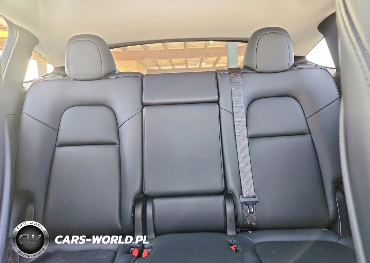 2023 Tesla Model Y VIN:7SAYGAEEXPF598556 - 10
