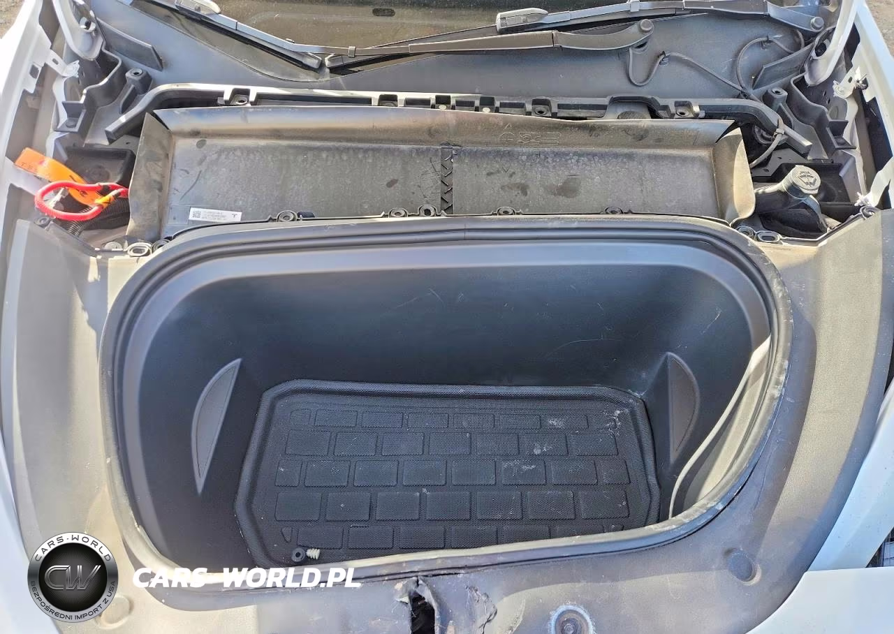 2023 Tesla Model Y VIN:7SAYGAEEXPF598556 - 12