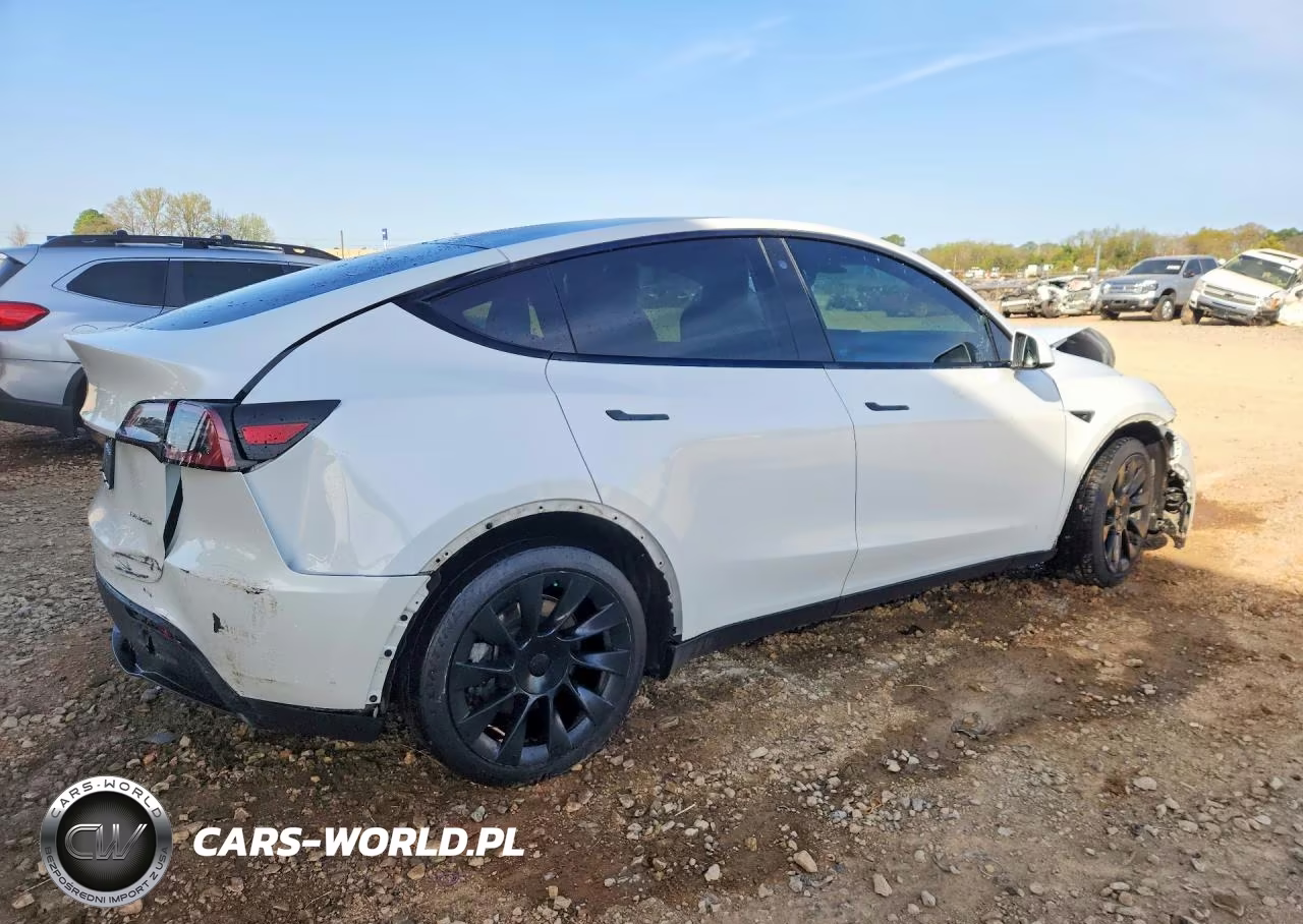 2023 Tesla Model Y VIN:7SAYGAEEXPF598556 - 3