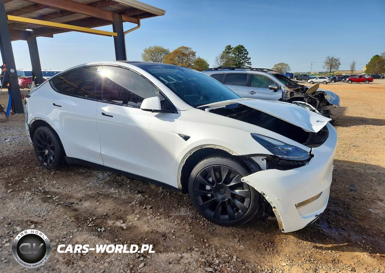 2023 Tesla Model Y VIN:7SAYGAEEXPF598556 - 4